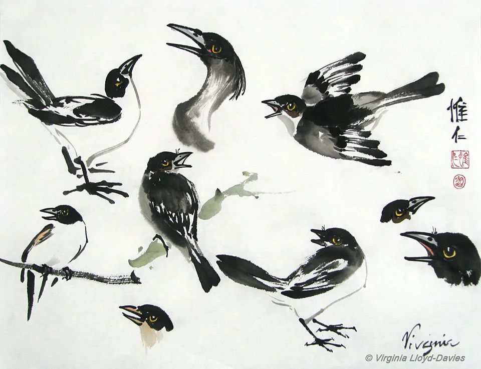 Chinese brush painting of black birds in different poses