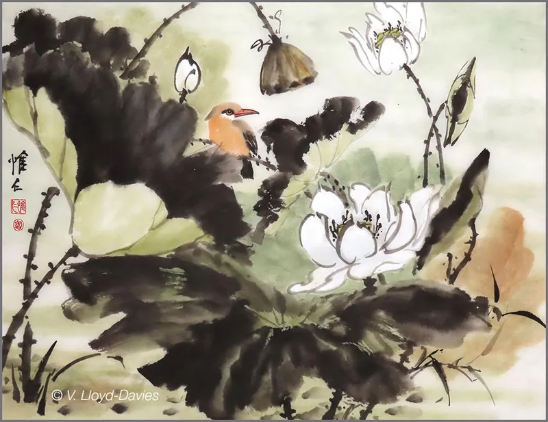 green and brown lotus leaves, white flowers, brown bird