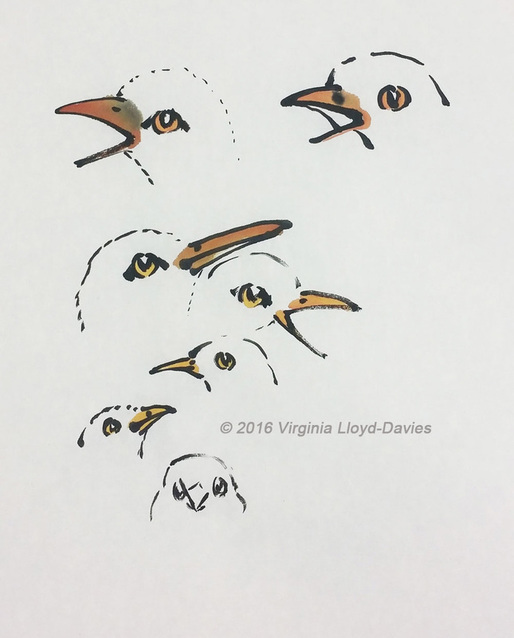 Bird beaks demonstrated in Chinese brush technique in video