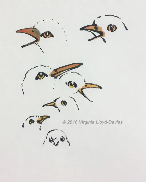 Bird beaks demonstrated in Chinese brush technique in video