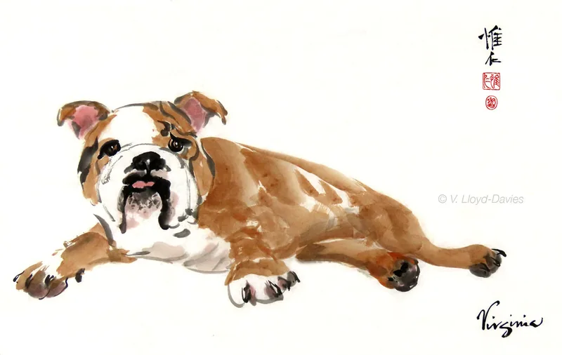 Chinese brush painting of bulldog