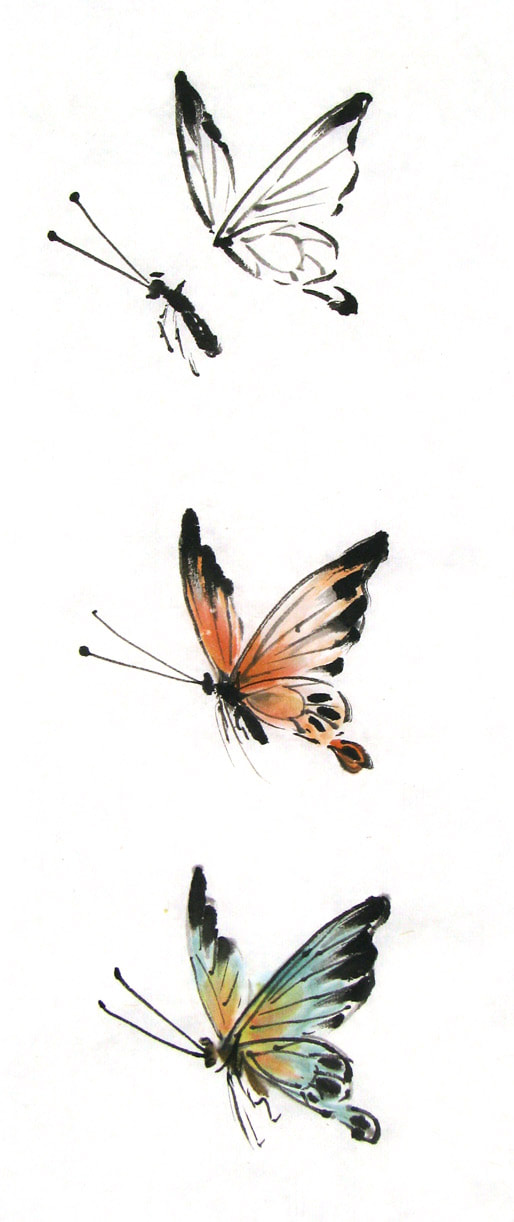 butterfly in black ink and color Picture