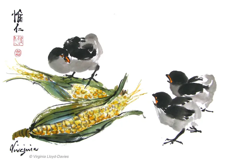 3 black chicks and 2 ears of corn with husk