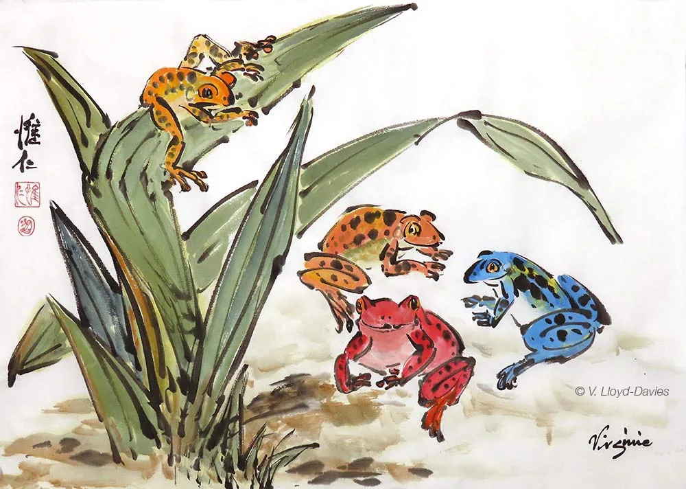 4 frogs and a green plant Picture