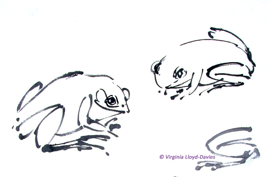 black ink frogs Picture