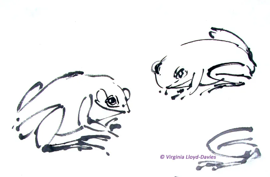 black ink frogs Picture