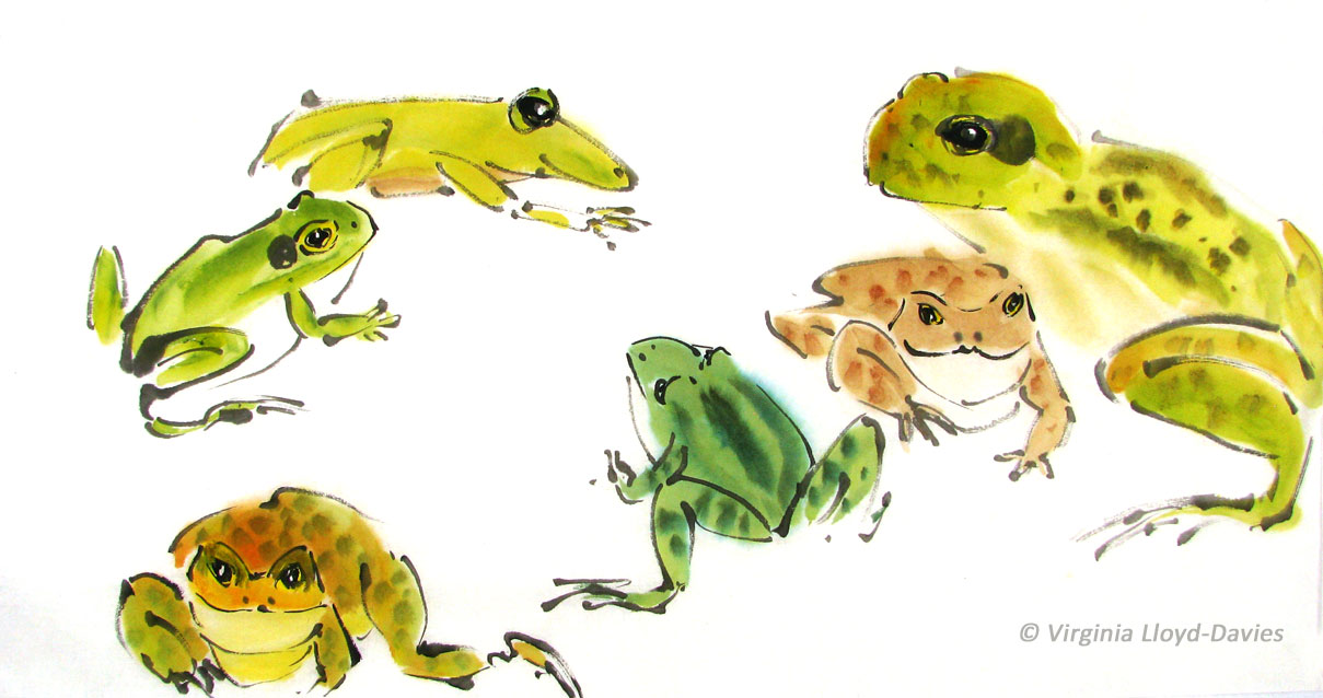 Several different kinds of frogs in brown, green and yellow watercolor Picture