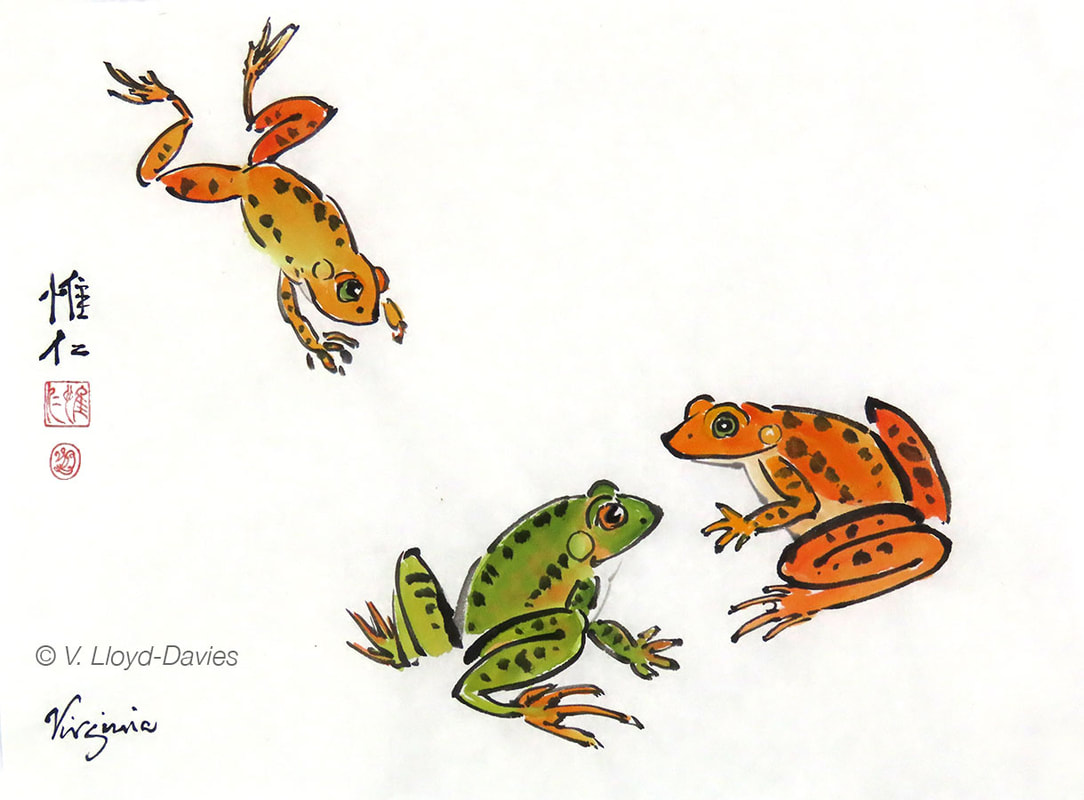 2 Orange frogs, 1 green frog Picture