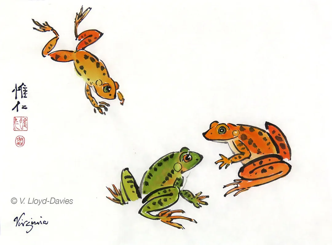2 Orange frogs, 1 green frog Picture