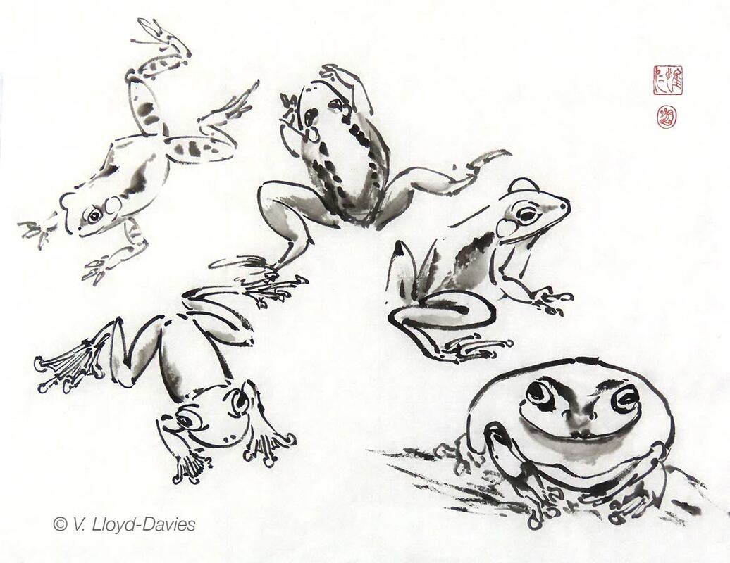 Black ink sketches of frogs Picture