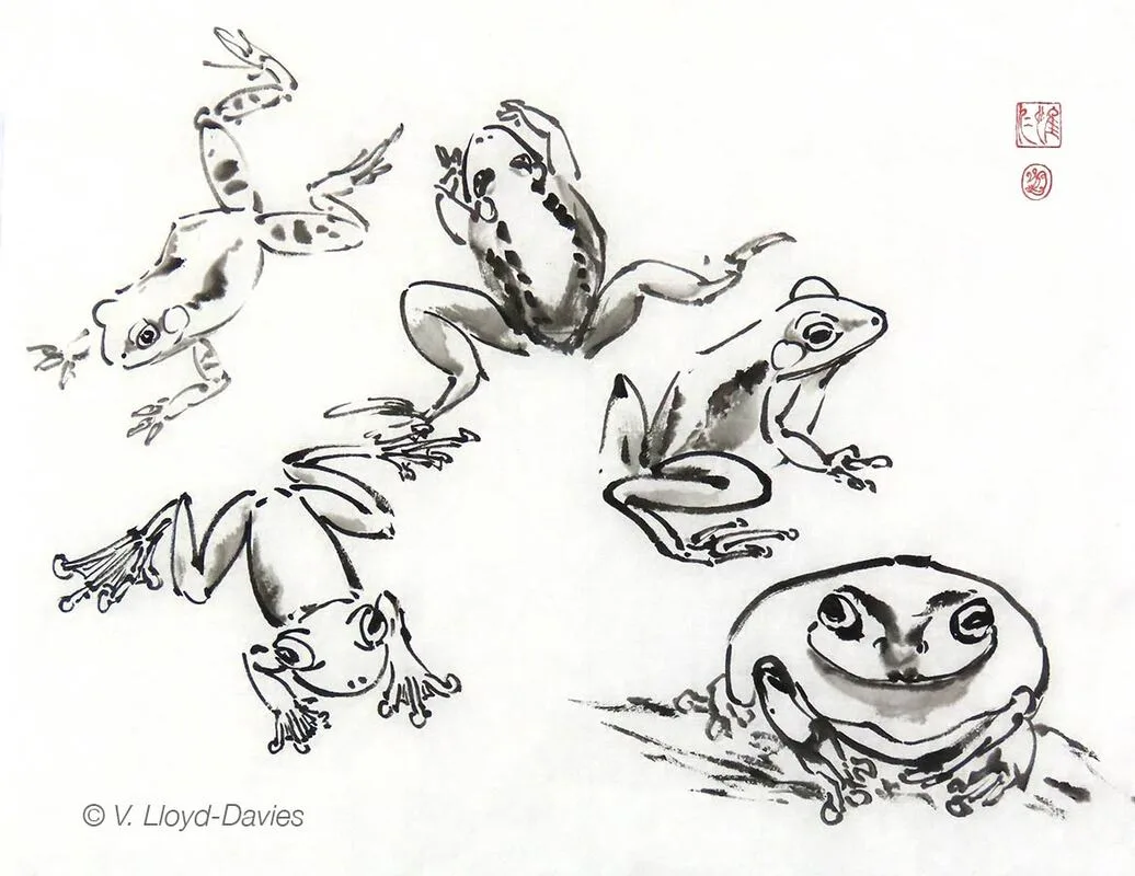 Black ink sketches of frogs Picture