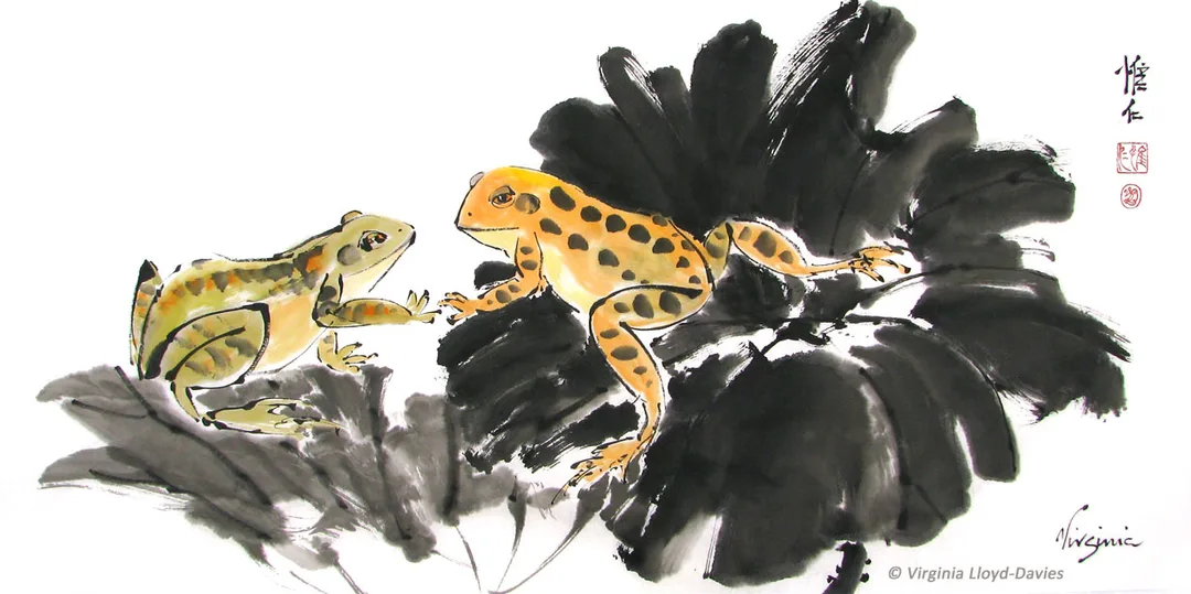 Green and orange frogs on black lotus leavesPicture