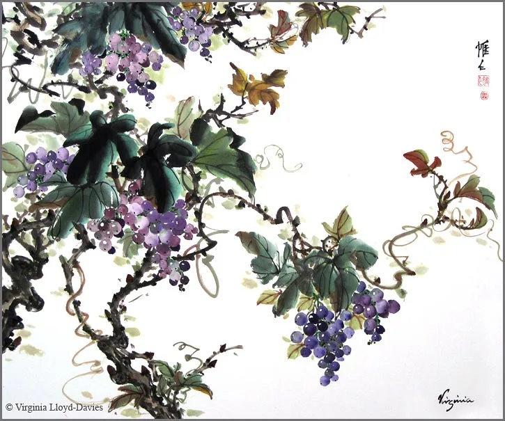 Purple grapes on the vine with green leaves