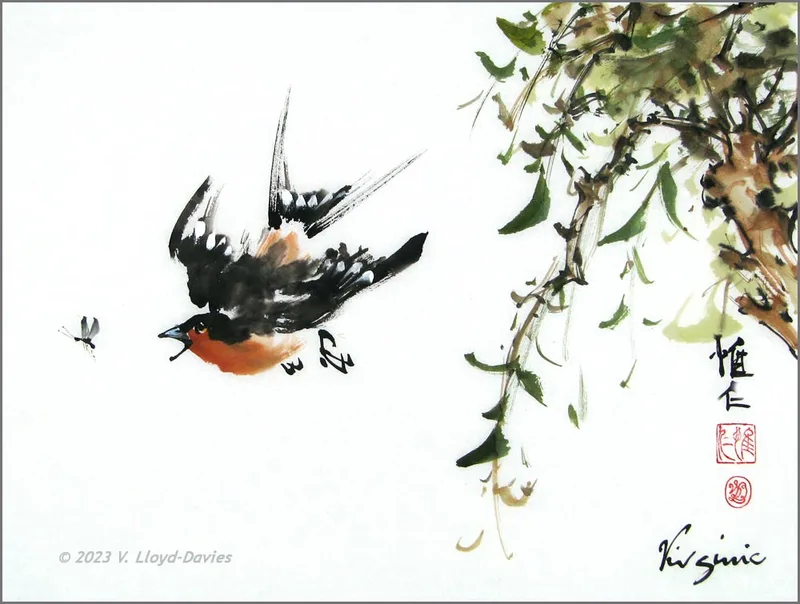 Swallow flies after insect