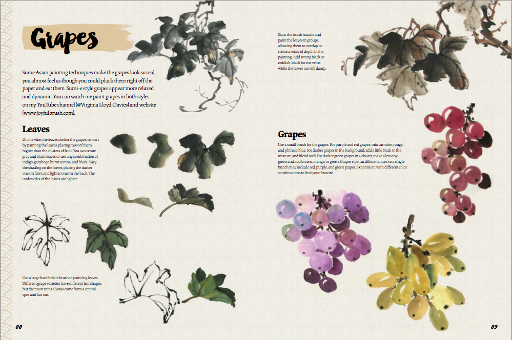 grapes and leaves Picture