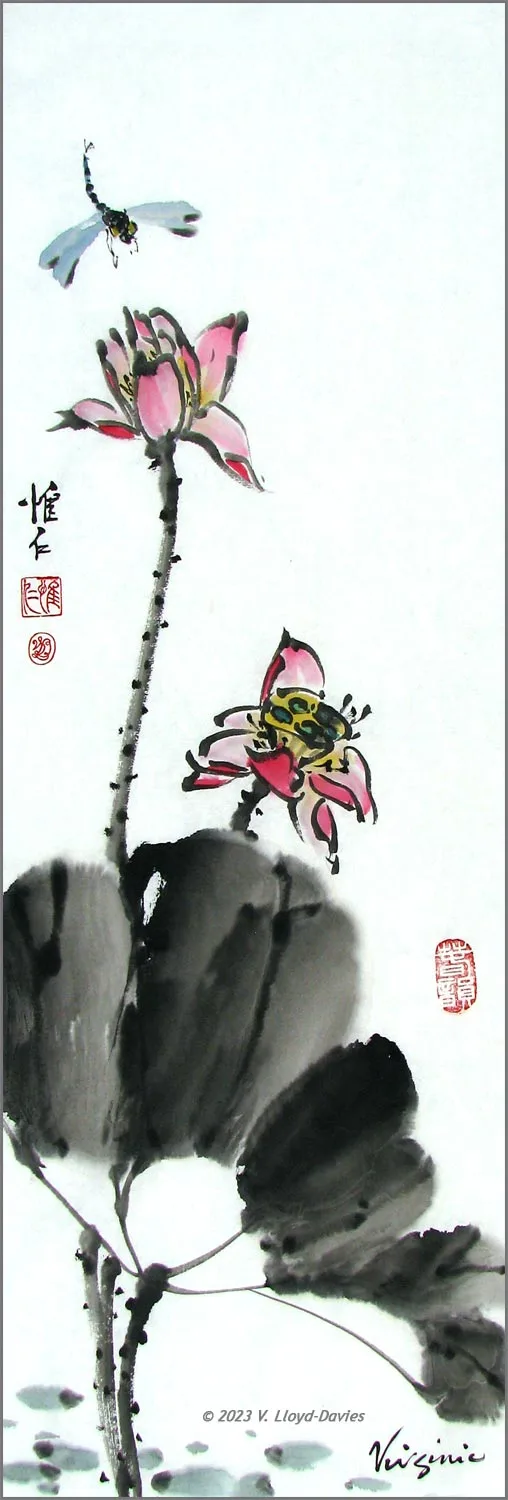 Blue dragonfly hovering over pink lotus flowers