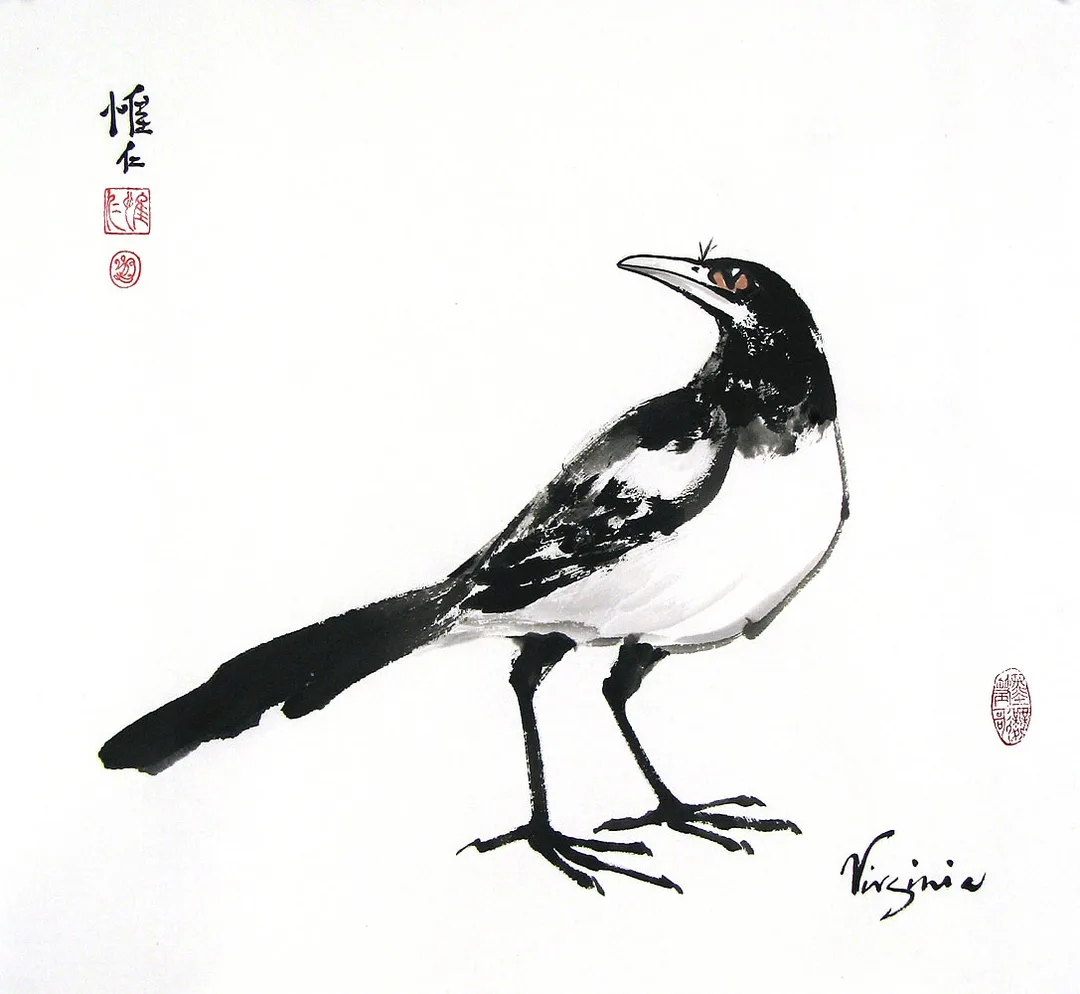 Black ink painting of magpie