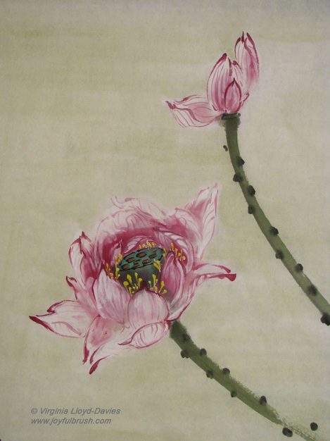 Chinese brush painting of outlined lotus flowers