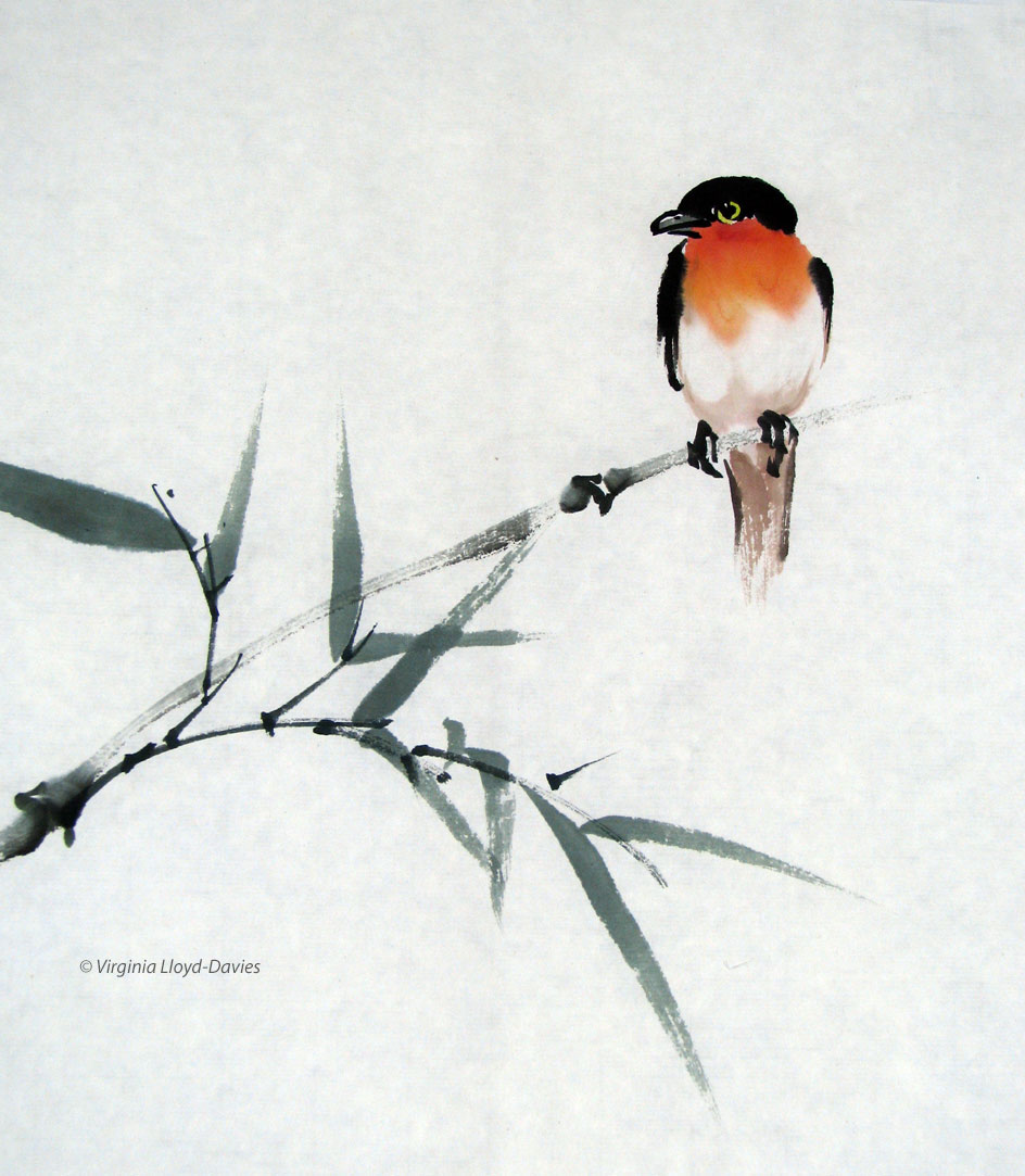 Picture of red breasted bird on bamboo branch