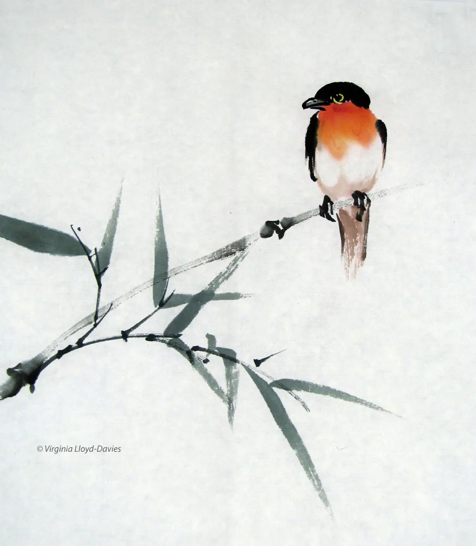 Picture of red breasted bird on bamboo branch