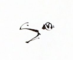 Black ink painting of bird beak and eye