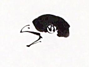 Black ink Painting of bird head