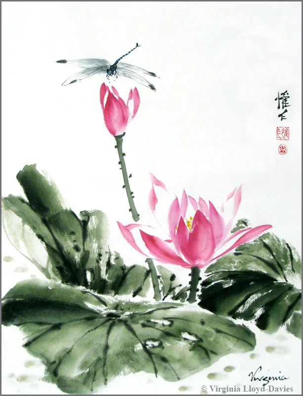 Pink water lily and blue dragonfly