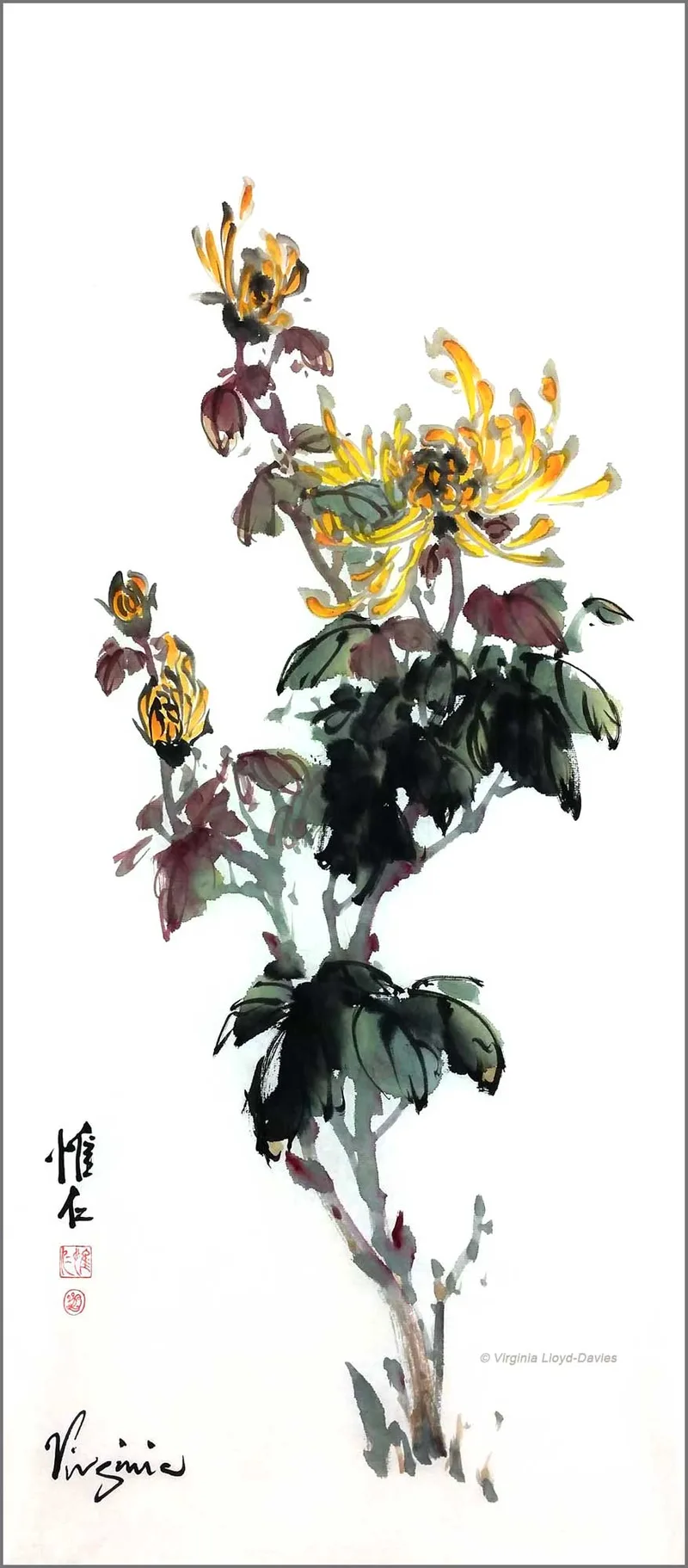 yellow and orange chrysanthemum and green leaves